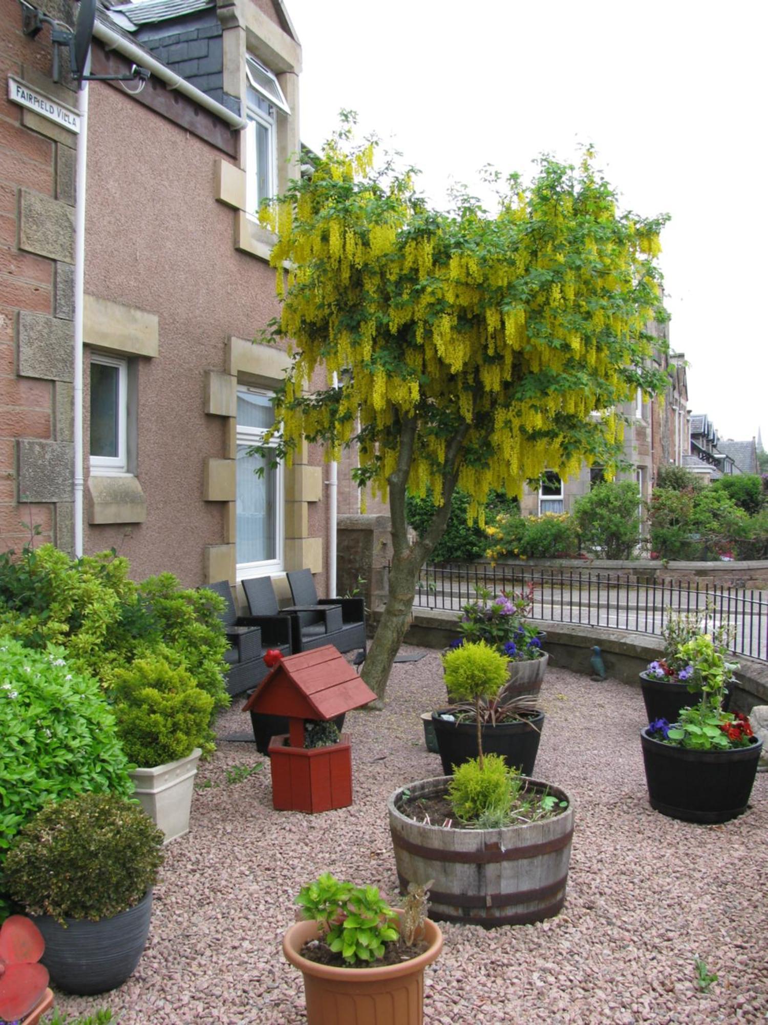 Fairfield Townhouse Guest House إينفيرنيس المظهر الخارجي الصورة